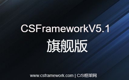 C/S快速开发框架旗舰版V5.1 - 数据字典窗体bllBaseDataDict类详解