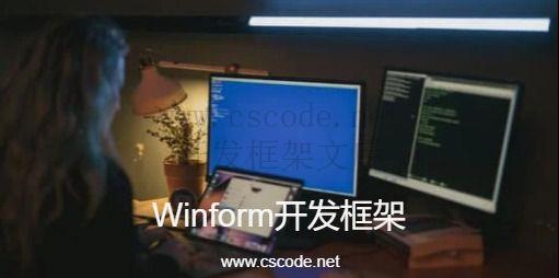 c/s架构winform开发框架