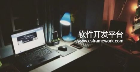 软件开发平台-www.csframework.com