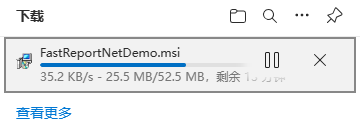 FastReport.NET 2023 FastReport报表设计器汉化