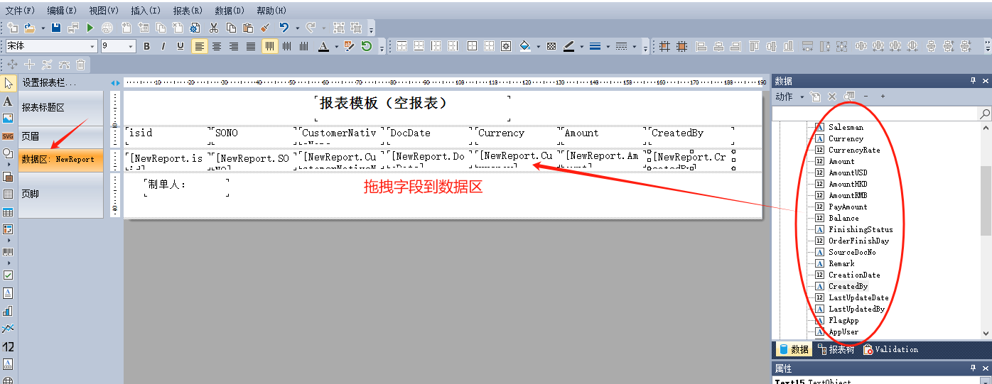 FastReport.NET 2023 用户自定义报表配置详解