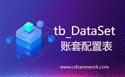 tb_DataSet表(账套数据库配置表)详解