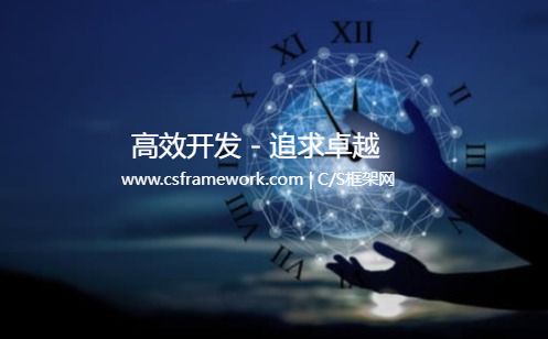 系统参数设置 - 实例源码 - C/S快速开发框架旗舰版V5