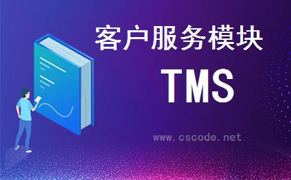 喜鹊软件TMS系统 - 客户服务模块 - 模块主窗体