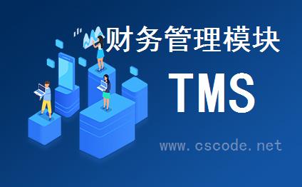喜鹊软件TMS系统 - 财务管理模块 - 模块主窗体