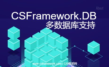 CSFramework.DB.dll (数据库底层接口组件)