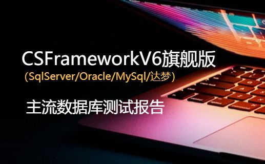 CSFrameworkV6软件开发平台主流数据库测试报告（SqlServer/MySql/Oracle/达梦）